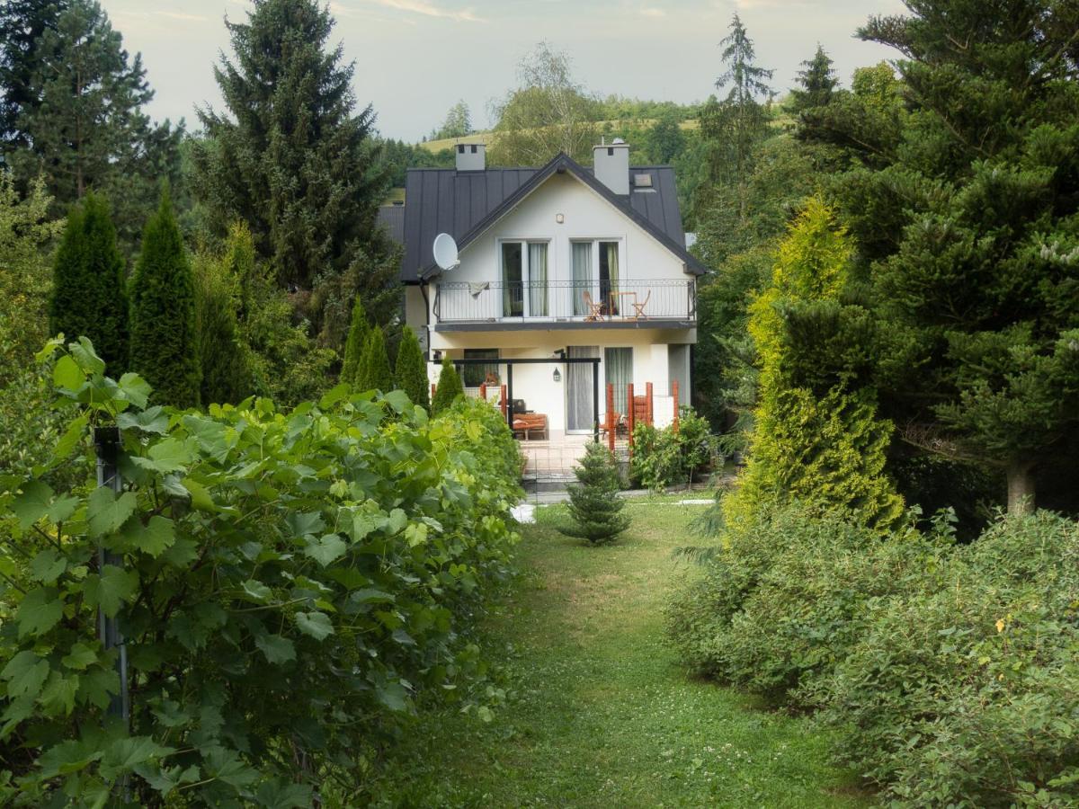 Villa Hasaba Krościenko Kültér fotó