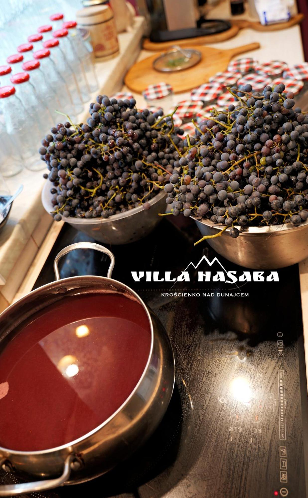 Villa Hasaba Krościenko Kültér fotó